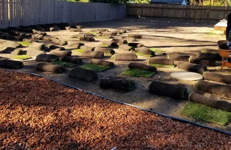 Landscape design project